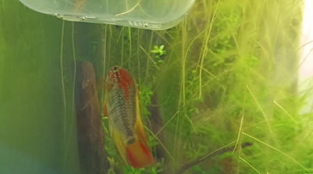 Retour des vacances et...gros bobo!