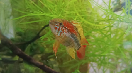 Retour des vacances et...gros bobo!