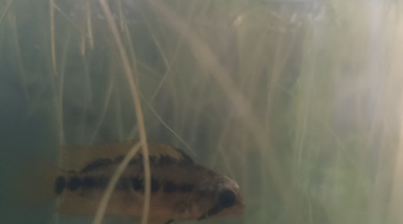 Retour des vacances et...gros bobo!