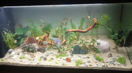 Mise en route et première plantation