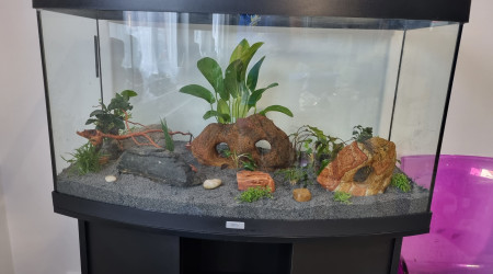 1ère Mise en place plantes et pierres