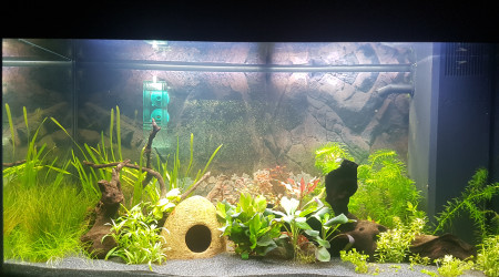 aquarium Juwel 125