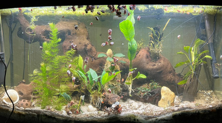 nouveau décor après catastrophe