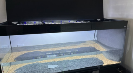 Nero - mise à l'eau