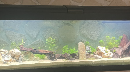 aquarium Aqua 500 litres