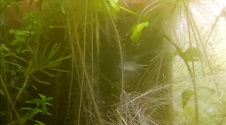 Retour de pique nique !