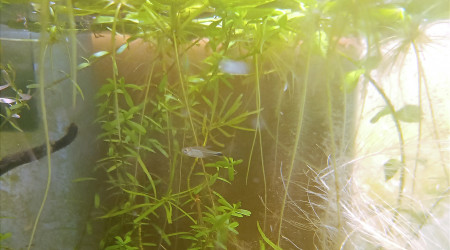 Retour de pique nique !