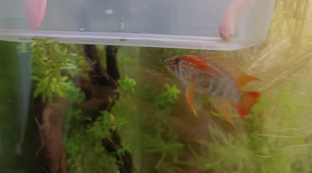 Retour de pique nique !