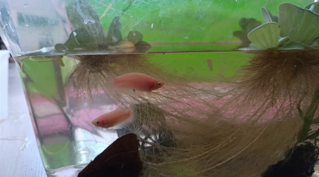 Retour de pique nique !