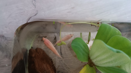 Retour de pique nique !