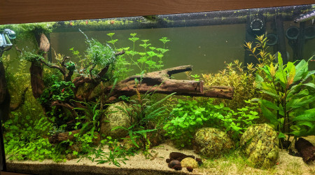 aquarium Rio 125l