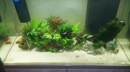 Changement 2nd filtre par filtre UV