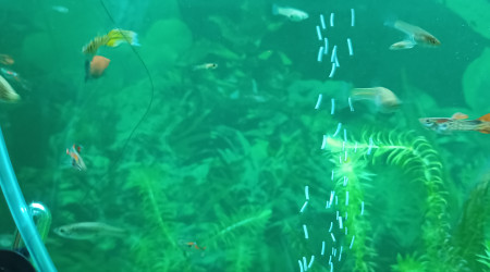 couleur de l'eau avec traitement large spectre