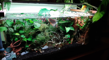 Modification de la position de la rampe.