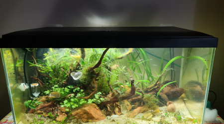 aquarium Aquarium 55L