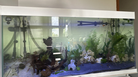 aquarium Aquarium 250 litres