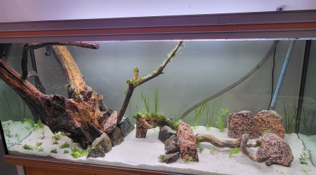 aquarium 450l