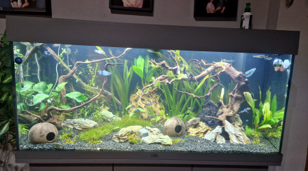 aquarium 180l