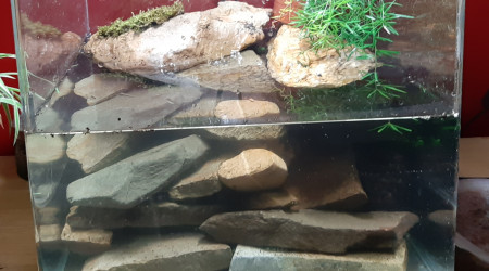 Expérimentation d'une cascade