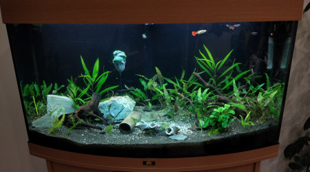 aquarium Tank1