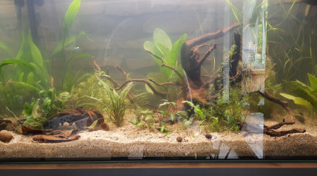 aquarium 200 litres