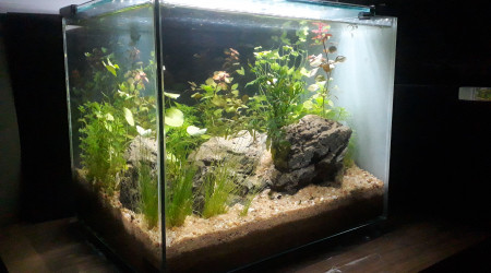 Quelques jours après le lancement