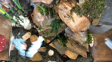 Derrière la cascade