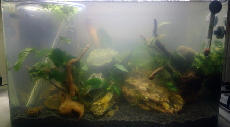 aquarium Aquarium 38 L