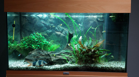 aquarium Juwel 125L