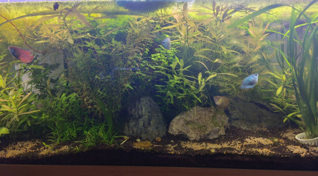 Update - Simple Scape