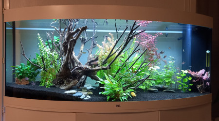 aquarium 450 Litres