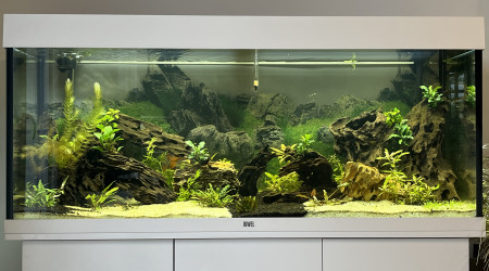 aquarium Juwel