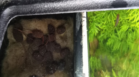 Entretien du weekend