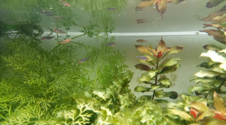 Entretien du weekend