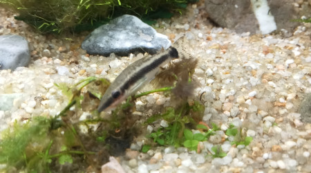 Entretien du weekend