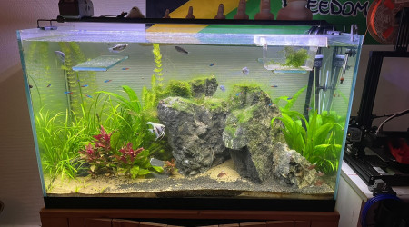 aquarium 240L