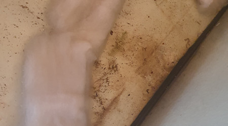 Création de zones cachées sous le sol