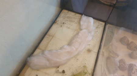 Création de zones cachées sous le sol