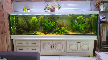 Et enfin le bac que vous connaissez