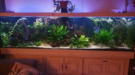 Et enfin le bac que vous connaissez