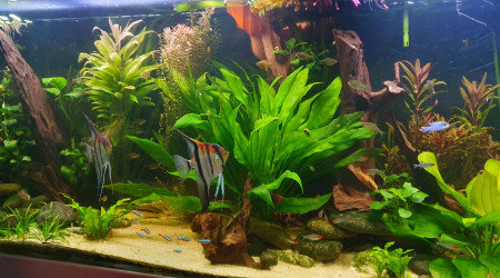 Et enfin le bac que vous connaissez