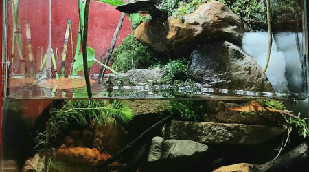 Ajout de feuilles mortes