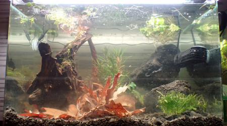 Bac principal - moisissures 2