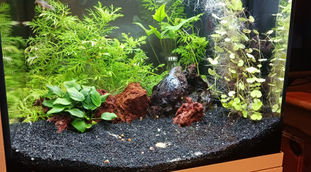 Vue d'ensemble by night ...