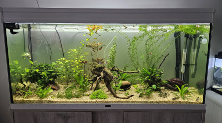 aquarium New-bac