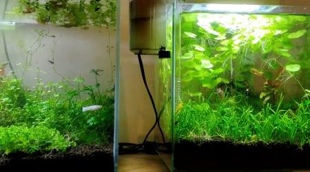 aquarium Aquarium 15 litres