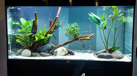 aquarium 600L