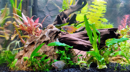 Intégration des premiers habitants