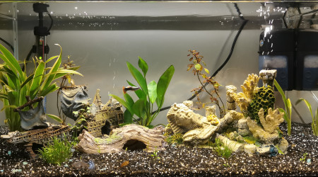 aquarium Aqua 60L