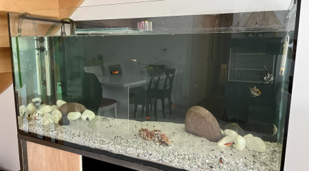 aquarium Bac Salon